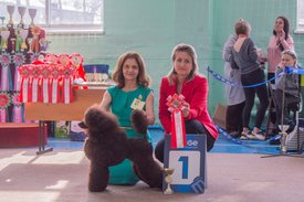 _DSC3788.jpg (87.55 КБ, Просмотров: 9386) _DSC3788.jpg