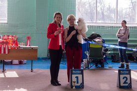 _DSC3807.jpg (82.77 КБ, Просмотров: 9932) _DSC3807.jpg