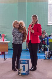 _DSC3827.jpg (75.12 КБ, Просмотров: 10412) _DSC3827.jpg