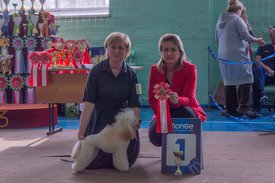 _DSC3859.jpg (83.1 КБ, Просмотров: 9386) _DSC3859.jpg