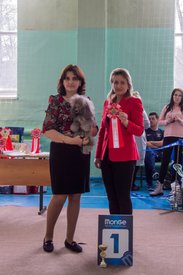 _DSC3898.jpg (78.4 КБ, Просмотров: 9383) _DSC3898.jpg