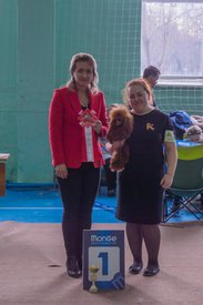 _DSC3962.jpg (71.34 КБ, Просмотров: 10412) _DSC3962.jpg