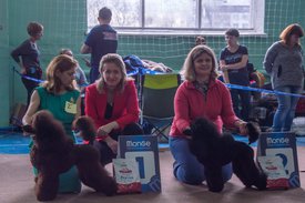 _DSC3968.jpg (84.07 КБ, Просмотров: 10429) _DSC3968.jpg