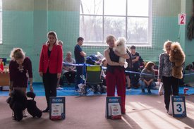 _DSC3981.jpg (80.29 КБ, Просмотров: 10412) _DSC3981.jpg