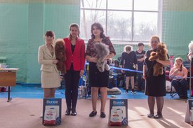 _DSC3991.jpg (82.48 КБ, Просмотров: 9383) _DSC3991.jpg