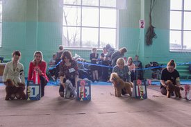 _DSC4030.jpg (81.01 КБ, Просмотров: 9389) _DSC4030.jpg