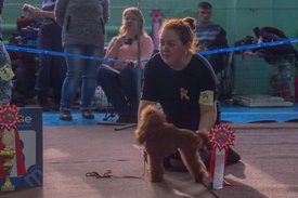 _DSC4036.jpg (71.03 КБ, Просмотров: 9932) _DSC4036.jpg