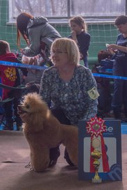 _DSC4039.jpg (80.95 КБ, Просмотров: 10412) _DSC4039.jpg