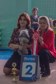 _DSC4046.jpg (70.44 КБ, Просмотров: 9922) _DSC4046.jpg