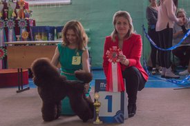 _DSC4068.jpg (75.97 КБ, Просмотров: 9588) _DSC4068.jpg