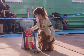 _DSC4082.jpg (82.52 КБ, Просмотров: 9553) _DSC4082.jpg