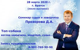 Прозоров реклама1.jpg