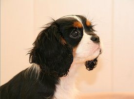 Screenshot_20200306_114431.jpg (124.96 КБ, Просмотров: 1951) Screenshot_20200306_114431.jpg