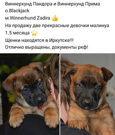 IMG_20200227_211248_197.jpg (146.79 КБ, Просмотров: 2989) IMG_20200227_211248_197.jpg