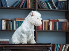 7420_2048.jpg (70.89 КБ, Просмотров: 1791) 7420_2048.jpg