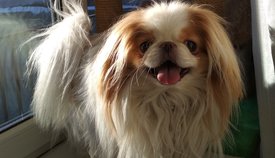 IMG_20200303_170443.jpg (489.35 КБ, Просмотров: 4735) IMG_20200303_170443.jpg