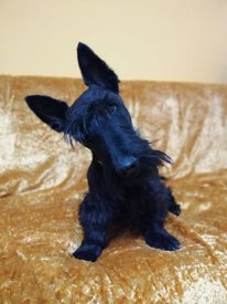 92953239_2598696270448116_7156750021604409344_n.jpg (61.59 КБ, Просмотров: 14789) 92953239_2598696270448116_7156750021604409344_n.jpg