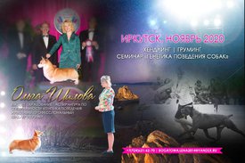 download.jpeg.jpg (69.89 КБ, Просмотров: 3714) download.jpeg.jpg