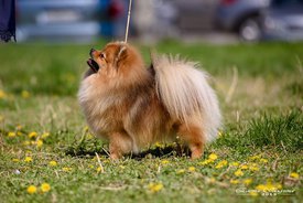 Текила.jpg (106.29 КБ, Просмотров: 1513) Текила.jpg