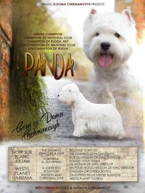 для форума.jpg (449.19 КБ, Просмотров: 13638) для форума.jpg