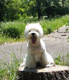 9.jpg (505.52 КБ, Просмотров: 14055) 9.jpg