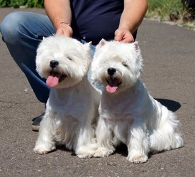 7.jpg (584.79 КБ, Просмотров: 14053) 7.jpg