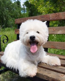 4.jpg (383.54 КБ, Просмотров: 13844) 4.jpg