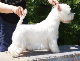 15.jpg (526.57 КБ, Просмотров: 13638) 15.jpg