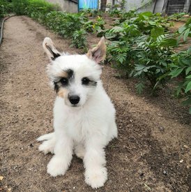 Screenshot_20200722_152909.jpg (562.96 КБ, Просмотров: 1834) Screenshot_20200722_152909.jpg