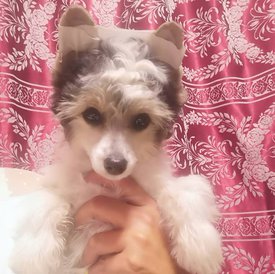 Screenshot_20200722_152923.jpg (341.15 КБ, Просмотров: 1834) Screenshot_20200722_152923.jpg