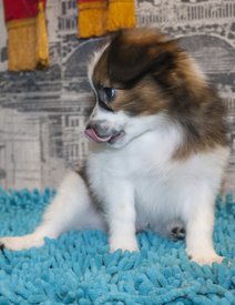 дрюн.jpg (187.96 КБ, Просмотров: 3843) дрюн.jpg