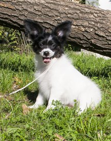 IMG_7571.1.jpg (578.92 КБ, Просмотров: 3374) IMG_7571.1.jpg