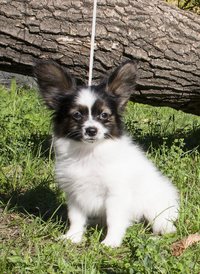 IMG_7610.1.jpg (410.07 КБ, Просмотров: 3715) IMG_7610.1.jpg