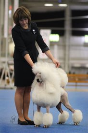 116253697_663770757545915_1348049478706559272_n.jpg (118.66 КБ, Просмотров: 9088) 116253697_663770757545915_1348049478706559272_n.jpg