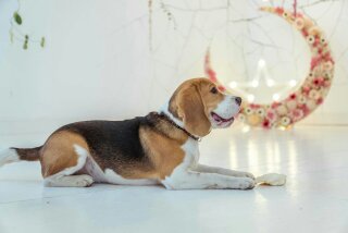 1468804796381.jpg (10.86 КБ, Просмотров: 28853) 1468804796381.jpg