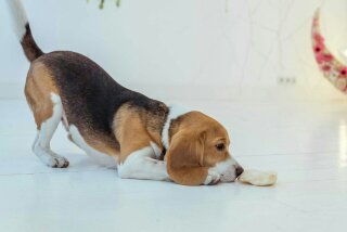 1468804800315.jpg (9.44 КБ, Просмотров: 28763) 1468804800315.jpg