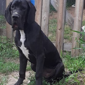 IMG_20200731_121655_446.jpg (167.55 КБ, Просмотров: 1252) IMG_20200731_121655_446.jpg