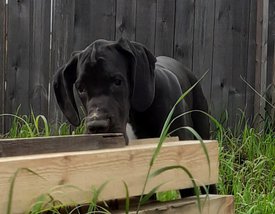 20200731_115950.jpg (146.26 КБ, Просмотров: 1247) 20200731_115950.jpg