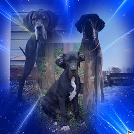 IMG-20200714-WA0006.jpg (157.02 КБ, Просмотров: 1213) IMG-20200714-WA0006.jpg