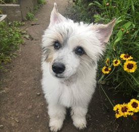 Screenshot_20200817_112422.jpg (311.45 КБ, Просмотров: 1711) Screenshot_20200817_112422.jpg