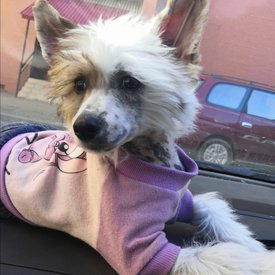 Screenshot_20200817_112546.jpg (331.02 КБ, Просмотров: 1711) Screenshot_20200817_112546.jpg