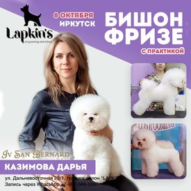 image-22-09-20-08-13.jpeg (87.87 КБ, Просмотров: 8129) image-22-09-20-08-13.jpeg