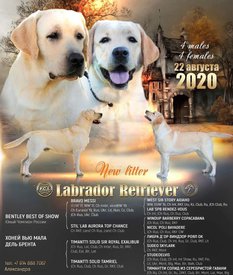 IMG-20201004-WA0036.jpg (132.64 КБ, Просмотров: 1321) IMG-20201004-WA0036.jpg