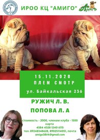 Плем.jpg (195.05 КБ, Просмотров: 2283) Плем.jpg