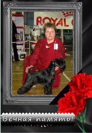 jY8LO8InALM.jpg (66.77 КБ, Просмотров: 9105) jY8LO8InALM.jpg