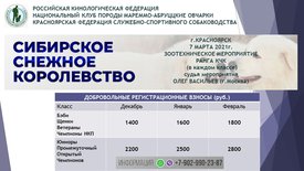 Реклама.jpg (170.71 КБ, Просмотров: 2337) Реклама.jpg