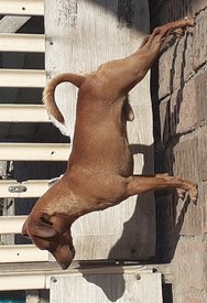 20190924_134048 - копия.jpg (150.79 КБ, Просмотров: 1849) 20190924_134048 - копия.jpg