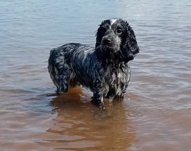 IMG_20210223_124858.jpg (389.9 КБ, Просмотров: 3379) IMG_20210223_124858.jpg