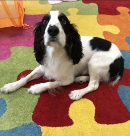 IMG_20210222_181740.jpg (182.57 КБ, Просмотров: 3421) IMG_20210222_181740.jpg