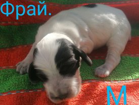 IMG_20210223_125736.jpg (397.14 КБ, Просмотров: 3377) IMG_20210223_125736.jpg